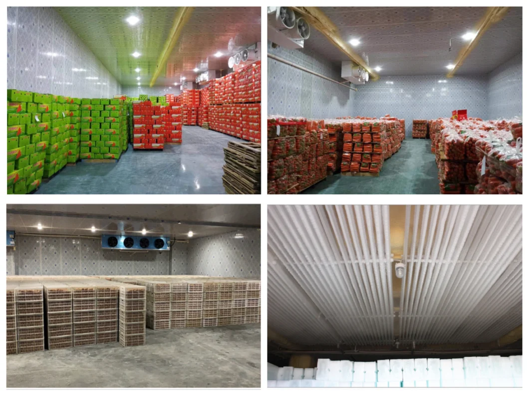 Factory Customized Cold Storage Room and Refrigeration Equipment