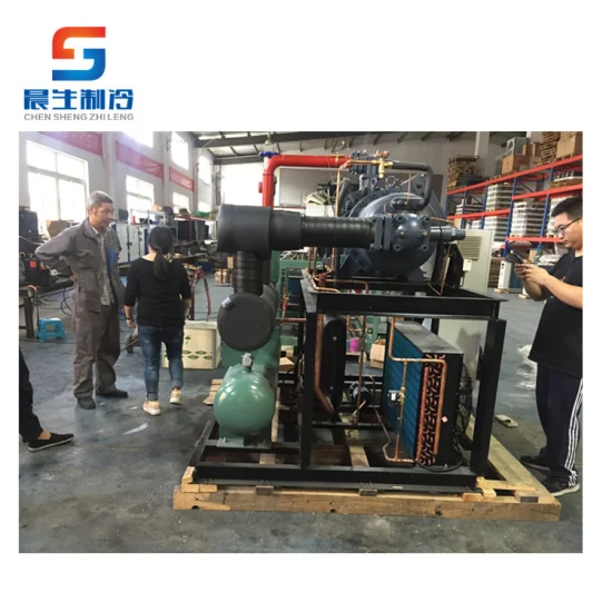 Low Temperature Ammonia Compressor Unit/Refrigeration Screw Compressor/Air-Cooled Condenser Unit for Refrigeration Industry